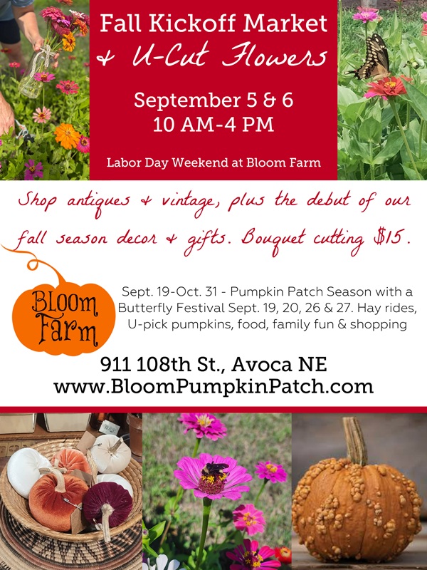 Avoca Butteerfly festival